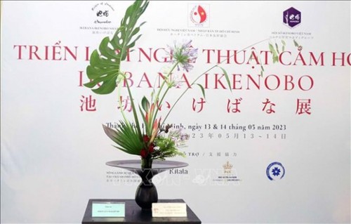 Japanese flower arrangement exhibition opens in HCM City - ảnh 1