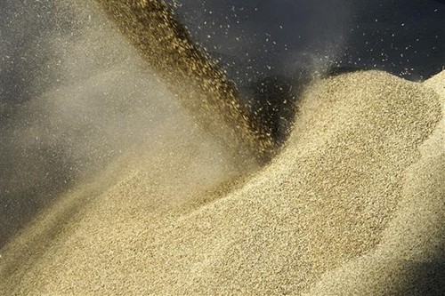 Russia ready to return to Black Sea grain deal if what concerns Moscow is implemented - ảnh 1