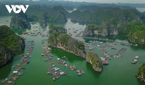 Magical beauty of the new world heritage: Ha Long Bay-Cat Ba archipelago - ảnh 3