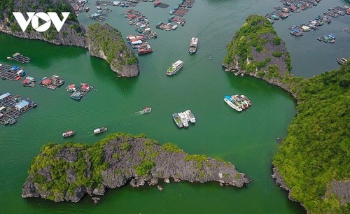 Magical beauty of the new world heritage: Ha Long Bay-Cat Ba archipelago - ảnh 5