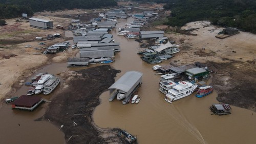 Amazon River falls to lowest in over a century amid Brazil drought - ảnh 1