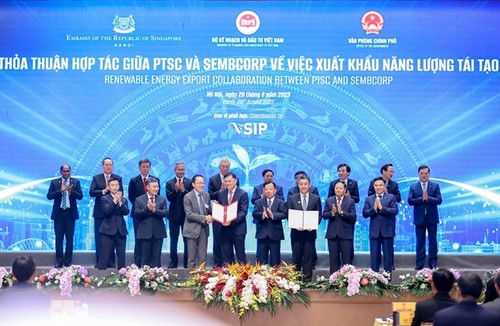  Petrovietnam carries out pioneering mission in offshore renewable energy - ảnh 1