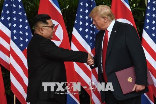 Pertemuan puncak AS-RDRK: Negara-negara merasa optimis tentang proses denuklirisasi di Semenanjung Korea - ảnh 1