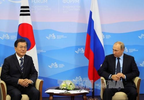 Presiden Republik Korea dan Rusia melakukan pembicaraan di Singapura - ảnh 1
