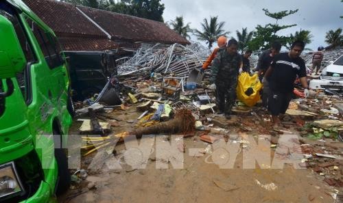 Indonesia dengan giat mengatasi akibat tsunami  - ảnh 1