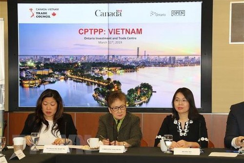 CPTPP membuka banyak peluang bagi badan-badan usaha Kanada dan Viet Nam - ảnh 1