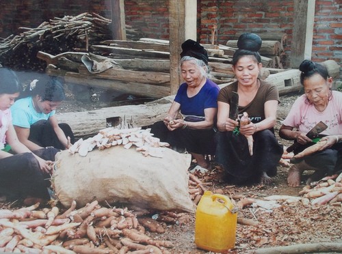 Faktor-faktor mempengaruhi perkembangan sosial-ekonomi dari warga etnis minoritas di Vietnam - ảnh 1