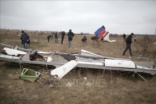Kecelakaan pesawat MH17: Presiden Vladimir Putin menolak tuduhan terhadap Rusia - ảnh 1