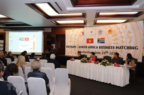 Badan-badan usaha Vietnam mengusahakan peluang melakukan ekspor ke Afrika Selatan - ảnh 1