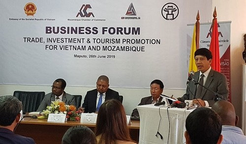 Vietnam - Mozambik mempromosikan kerjasama investasi, perdagangan dan pariwisata - ảnh 1