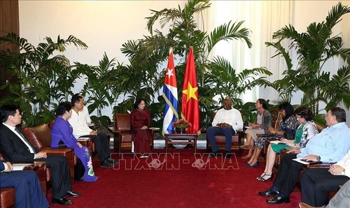 Vietnam dan Kuba mendorong kerjasama ekonomi dan perdagangan bilateral - ảnh 1