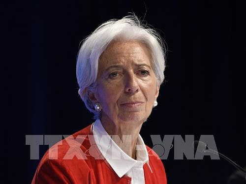 Direktur Jenderal IMF menyampaikan surat permintaan mengundurkan diri   - ảnh 1