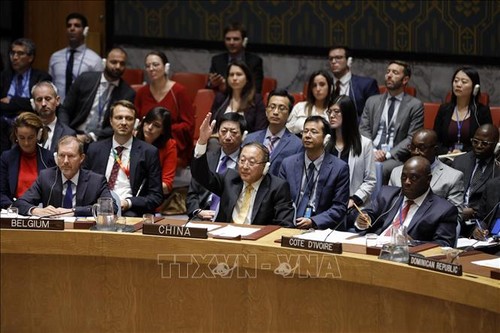 DK PBB tidak bisa mengesahkan resolusi tentang Suriah - ảnh 1