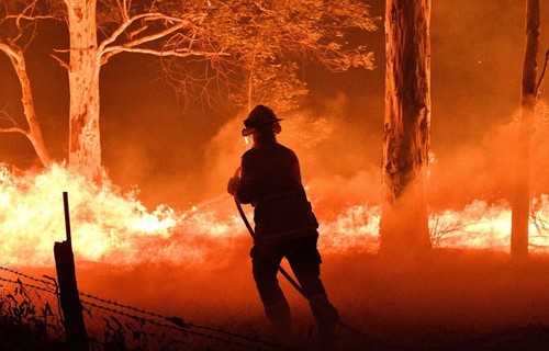    Komunitas Internasional Bersinergi Memberikan Bantuan Dalam Menghadapi Kebakaran Hutan di Australia - ảnh 1