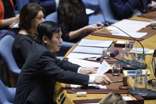 Vietnam Memimpin Perbahasan DK PBB tentang Situasi Israel dan Palestina - ảnh 1