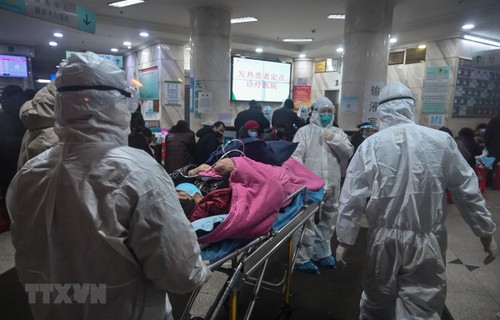 Wabah penyakit radang paru-paru akibat Virus Corona: jumlah kematian di Tiongtok terus meningkat - ảnh 1