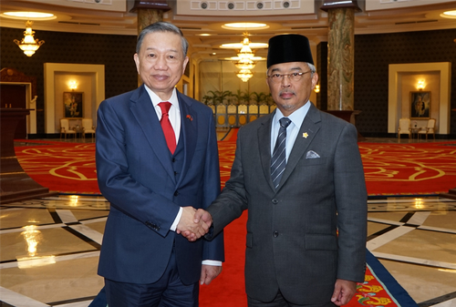 Menteri Keamanan Publik Vietnam, To Lam melakukan pembicaraan dengan Menteri Dalam Negeri dan melakukan kontak dengan Raja Malaysia - ảnh 1