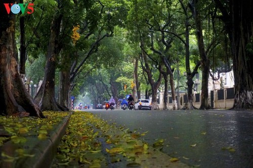 Pemandangan Kota Hanoi yang tenteram sentosa pada pembatasan sosial - ảnh 2