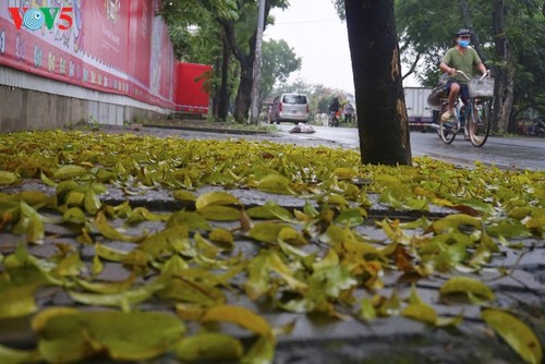 Pemandangan Kota Hanoi yang tenteram sentosa pada pembatasan sosial - ảnh 3