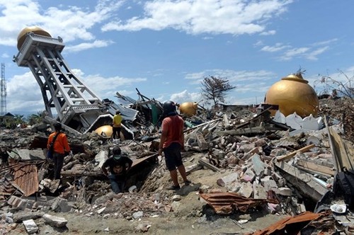 ASEAN terus membantu para korban gempa dan tsunami di Indonesia - ảnh 1