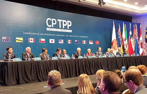 Negara-negara anggota CPTPP mempertimbangkan untuk menyelenggarakan konferensi menteri secara online - ảnh 1