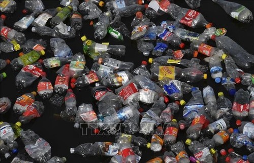 Intelektual Muda ASEAN dan Jepang Ajukan 13 Rekomendasi untuk Mengurangi Polusi Sampah Plastik - ảnh 1