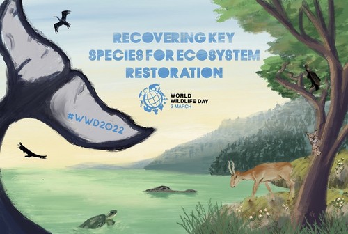 Hari Perlindungan Margasatwa Sedunia dengan Tema Regenerasikan Kembali Berbagai Spesies Utama untuk Pulihkan Ekosistem - ảnh 1