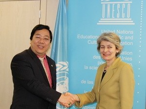  Vietnam begrüßt Unesco-Initiative zur Bildung einer Notstiftung  - ảnh 1