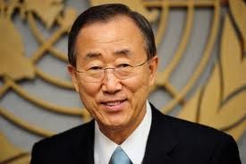 UNO bilden Arbeitsgruppe zur Förderung der nachhaltigen Entwicklung  - ảnh 1