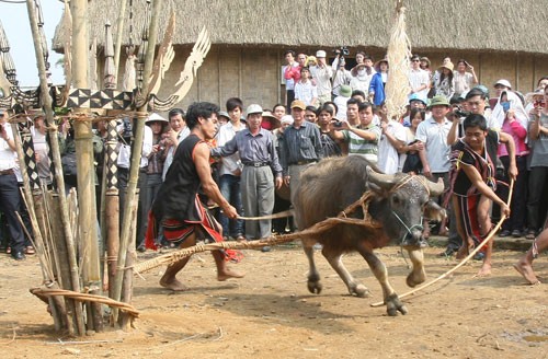 Die traditionellen Feste der Brau-Minderheit - ảnh 1