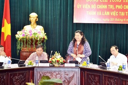 Vize-Parlamentspräsidentin Tong Thi Phong besucht Provinz Gia Lai - ảnh 1