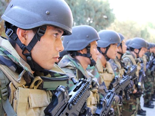 Vorbereitung für Einsatz Vietnams in den Friedenstruppen der Vereinten Nationen - ảnh 1