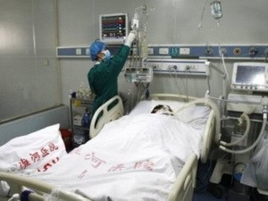 Erneut H7N9-Fall in China gemeldet - ảnh 1
