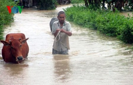Provinzen Nghe An und Ha Tinh meistern Überschwemmungen - ảnh 1