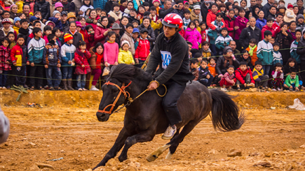 Festival des Pferdrennens der Mong - ảnh 1