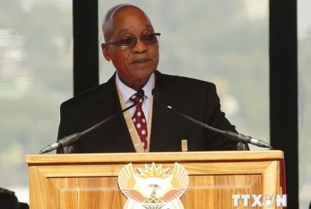 Südafrikas Präsident veröffentlicht neue Kabinettsliste  - ảnh 1