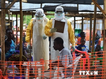 Vereinte Nationen verpflichtet, starke Rolle bei der Ebola-Eindämmung zu spielen - ảnh 1
