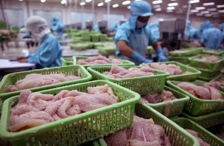 Vietnam ist der größte Fischexporteur Kolumbiens - ảnh 1