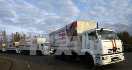 Russland liefert der Ostukraine fast 11.000 Tonnen Hilfsgüter - ảnh 1