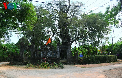 Das 500 Jahre alte Dorf Phuoc Tich in Hue - ảnh 10