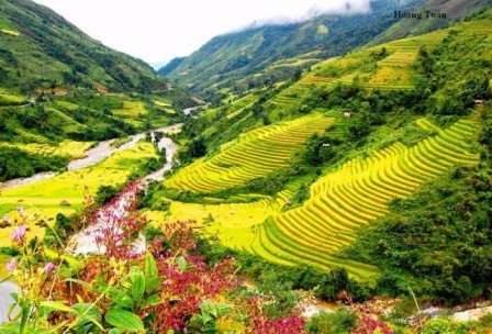 Muong Hoa: Das romantische Tal in Sapa - ảnh 1