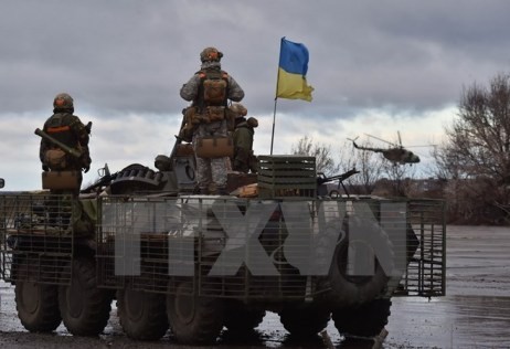 Ukraine startet Angriff nahe Mariupol - ảnh 1