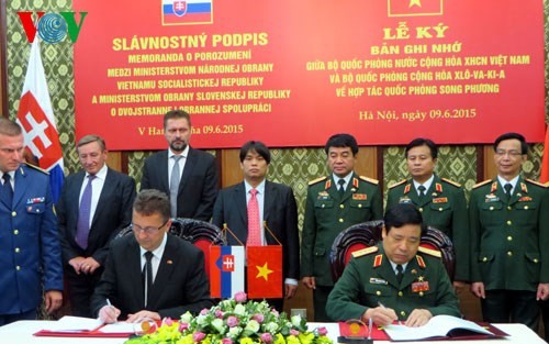 Vietnam und Slowakei vertärken Zusammenarbeit im Verteidigungsbereich - ảnh 1