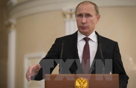 Präsident Putin: Russlands Wirtschaft entwickelt sich trotz der Sanktionen stabil - ảnh 1