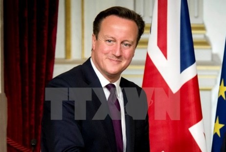 Gespräch zwischen Premierminister Nguyen Tan Dung und Großbritanniens Premierminister David Cameron - ảnh 1