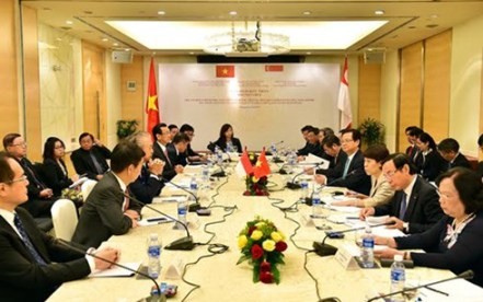 Premierminister Nguyen Tan Dung trifft Vertreter der in Singapur lebenden Vietnamesen - ảnh 1