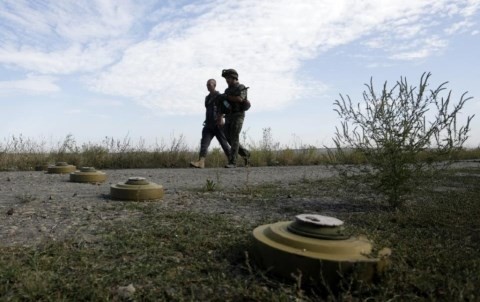 Frankreich, Deutschland und Russland unterstützen Waffenstillstand in der Ostukraine - ảnh 1