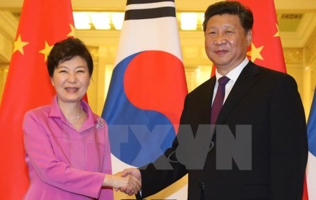 Spitzenpolitiker Chinas und Südkoreas führen Gespräch in Peking - ảnh 1