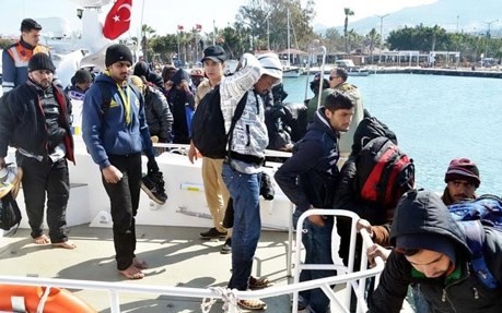 Türkei arbeitet mit Deutschland bei der Flüchtlingsfrage zusammen - ảnh 1