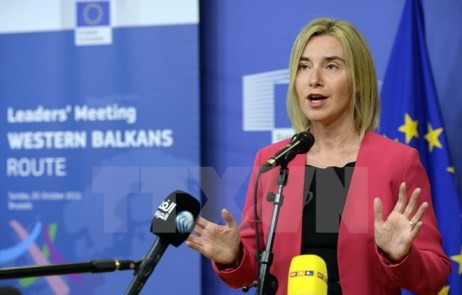  EU ruft zur Lösung der Streitigkeiten im Ostmeer auf - ảnh 1